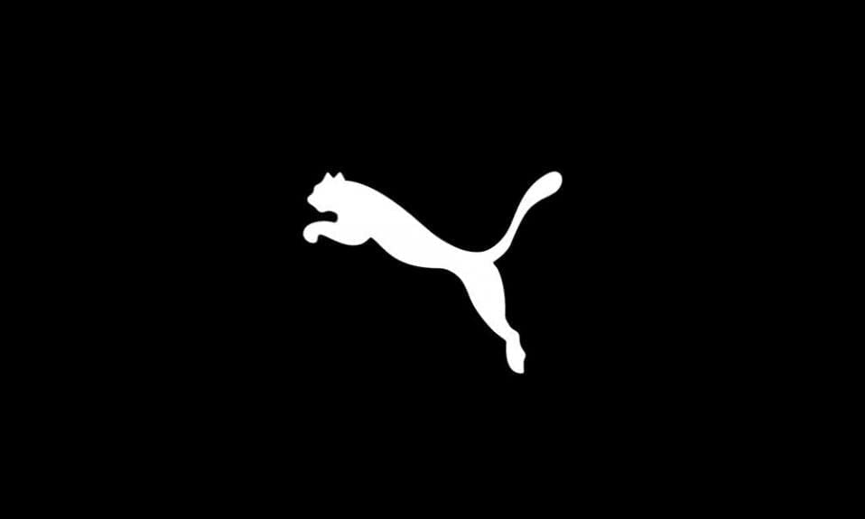PUMA Teamrise Training Poly Jacket Jr Sweatshirt