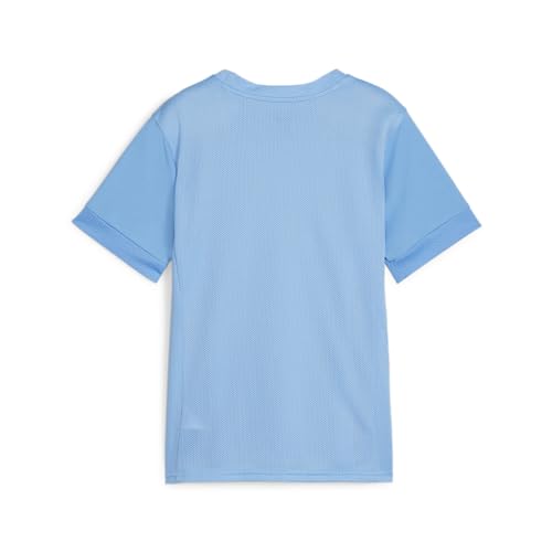 PUMA Unisex Teamgoal Matchday Jersey Jr Football Jersey