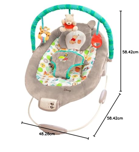 Bright Starts, Disney Baby, Winnie the Pooh Babywippe Babyschaukel mit Vibrationen, Automatischer Ausschaltfunktion, Melodien, Lautstärkeregler, Abnehmbarer Kopfstütze und Spielbogen