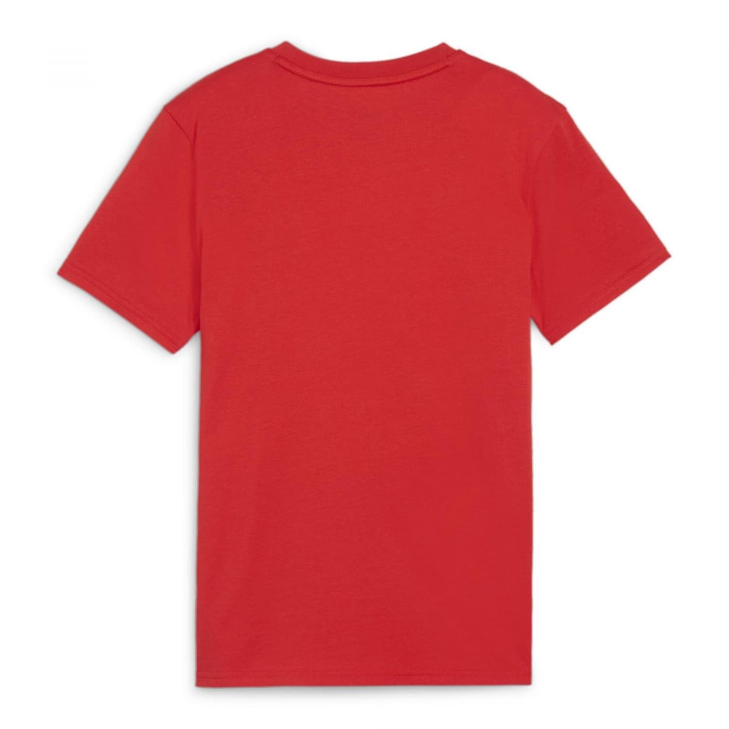 PUMA Unisex Teamgoal Casuals Tee Jr T-Shirt