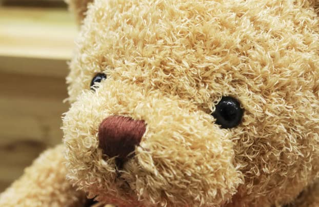TROYSINC Kuscheltier Teddy Bear mit Kapuze, Pfotenabdruck, Plüsch Spielzeug, niedliches Geschenk (Rot, 30 cm)