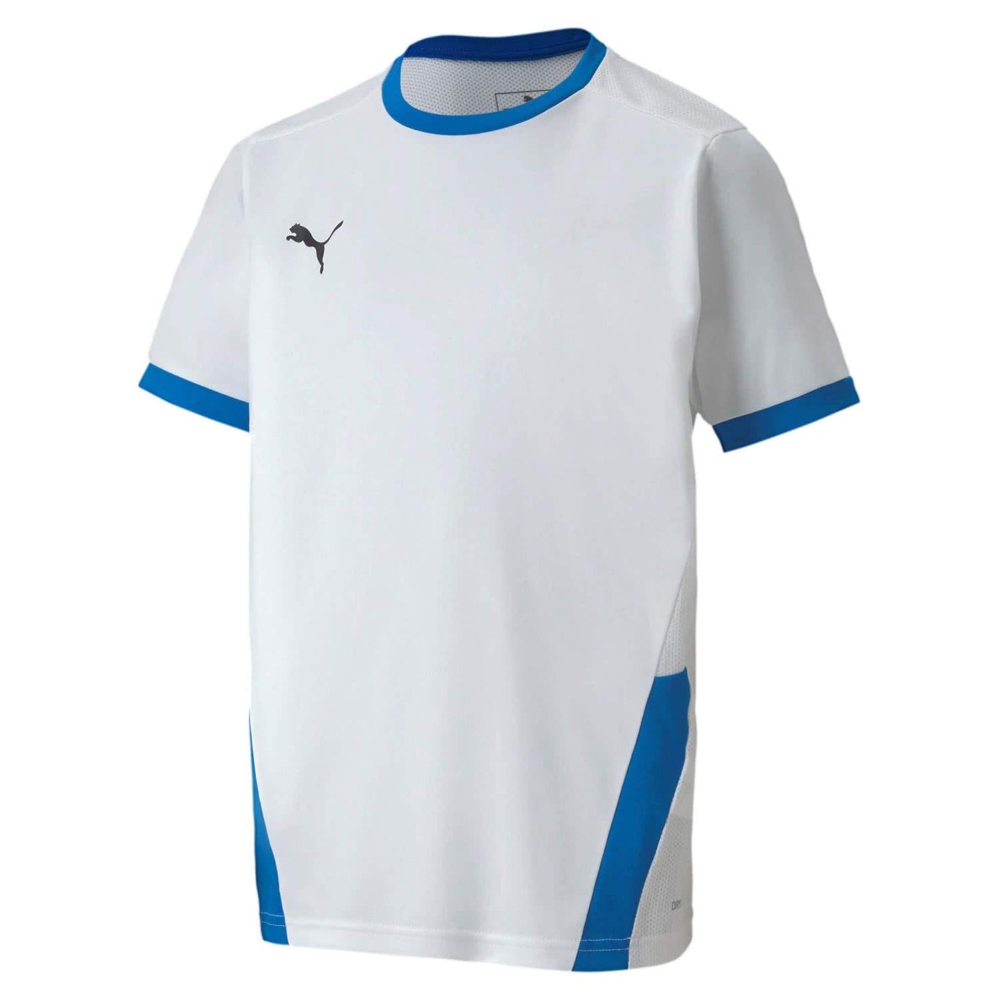 PUMA Herren, teamGOAL 23 Jersey Trikot
