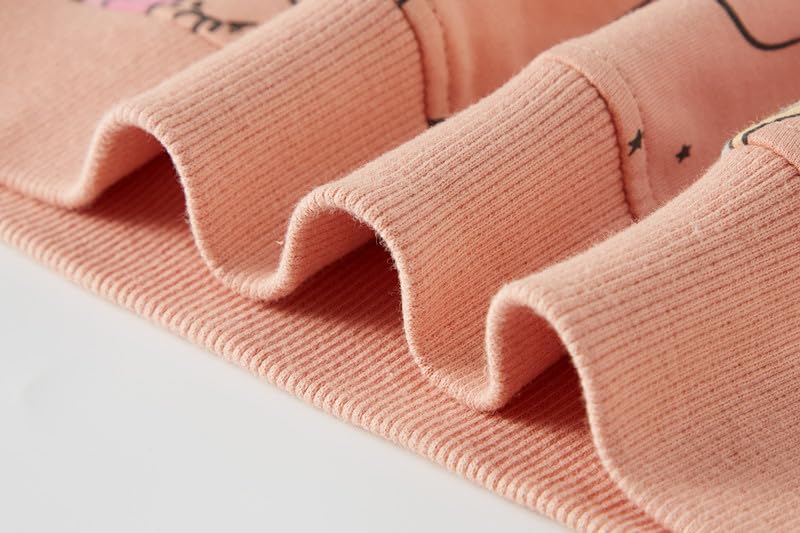 SOIBEEN Girls' Sweatshirt Adorable Children's Pullover 2-Pack Unicorn Top Shirt Pullover Pullover Crew Neck Long Sleeve Casual Wear Spring Autumn Cotton Hoodie 1-10 Years