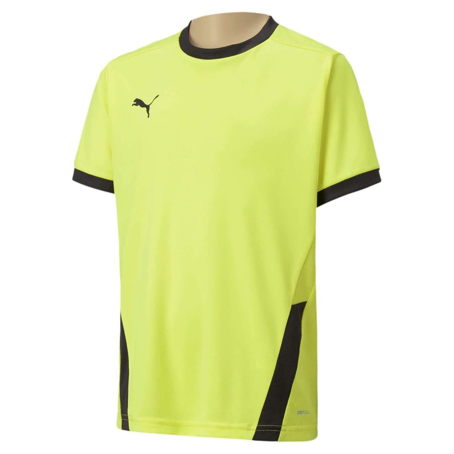 PUMA Herren, teamGOAL 23 Jersey Trikot