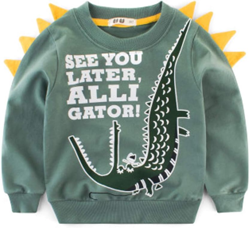 SUPFANS Boys Cute Dinosaur Sweatshirts Pullover Cotton T-Rex Long Sleeve Tops Toddler T-Shirt