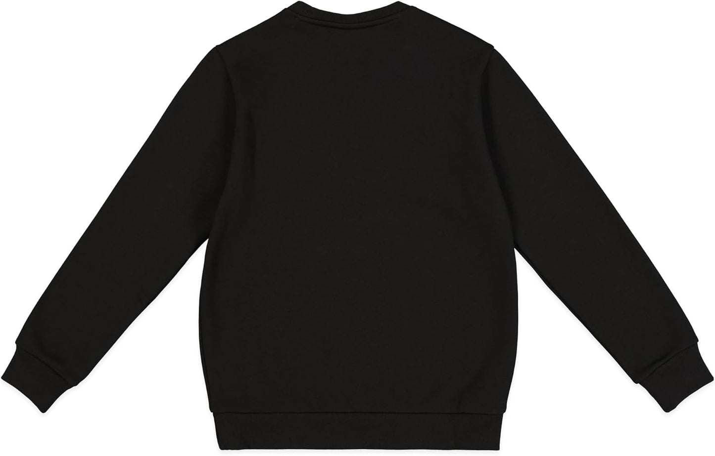 Champion Jungen Legacy Boy-Big Logo Sweatshirt