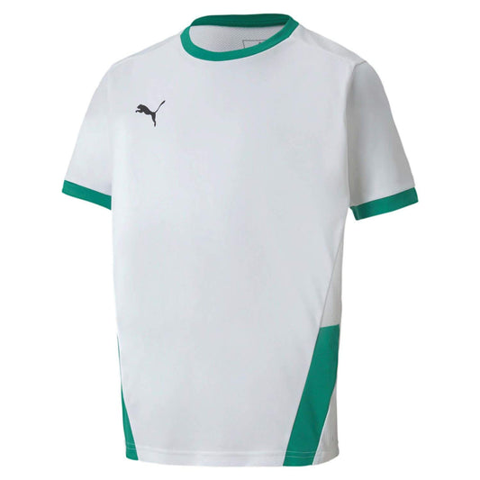 PUMA men's teamGOAL 23 jersey jersey
