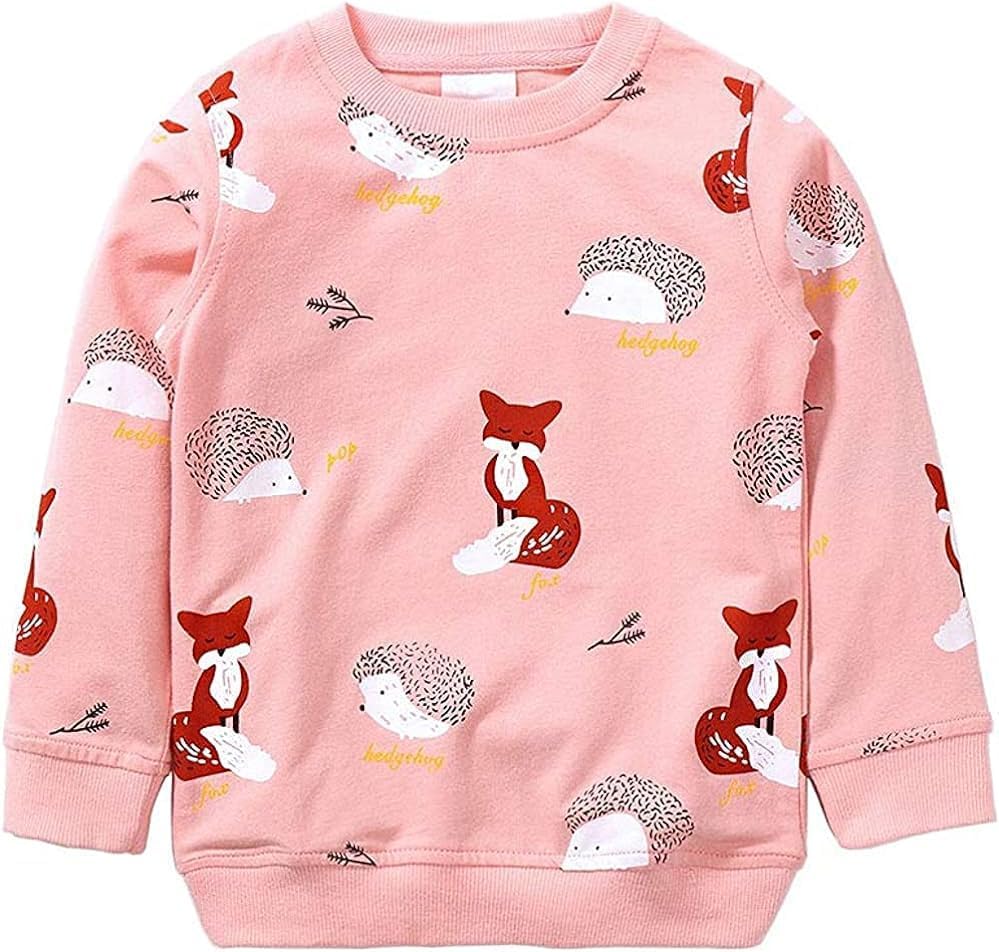 Mädchen Sweatshirt für Kinder Süß Cartoon Pullover Baumwolle Top Langarm T-Shirt Größe 1-12 Jahre