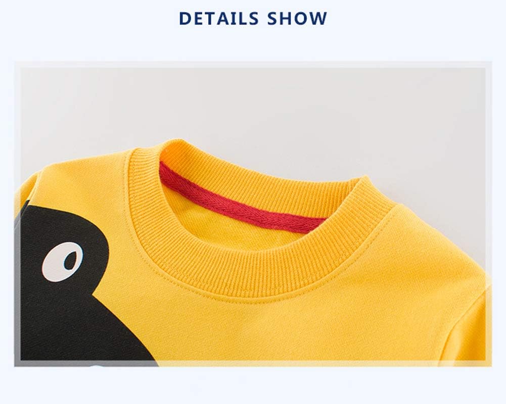 SUPFANS Boys Cute Dinosaur Sweatshirts Pullover Cotton T-Rex Long Sleeve Tops Toddler T-Shirt