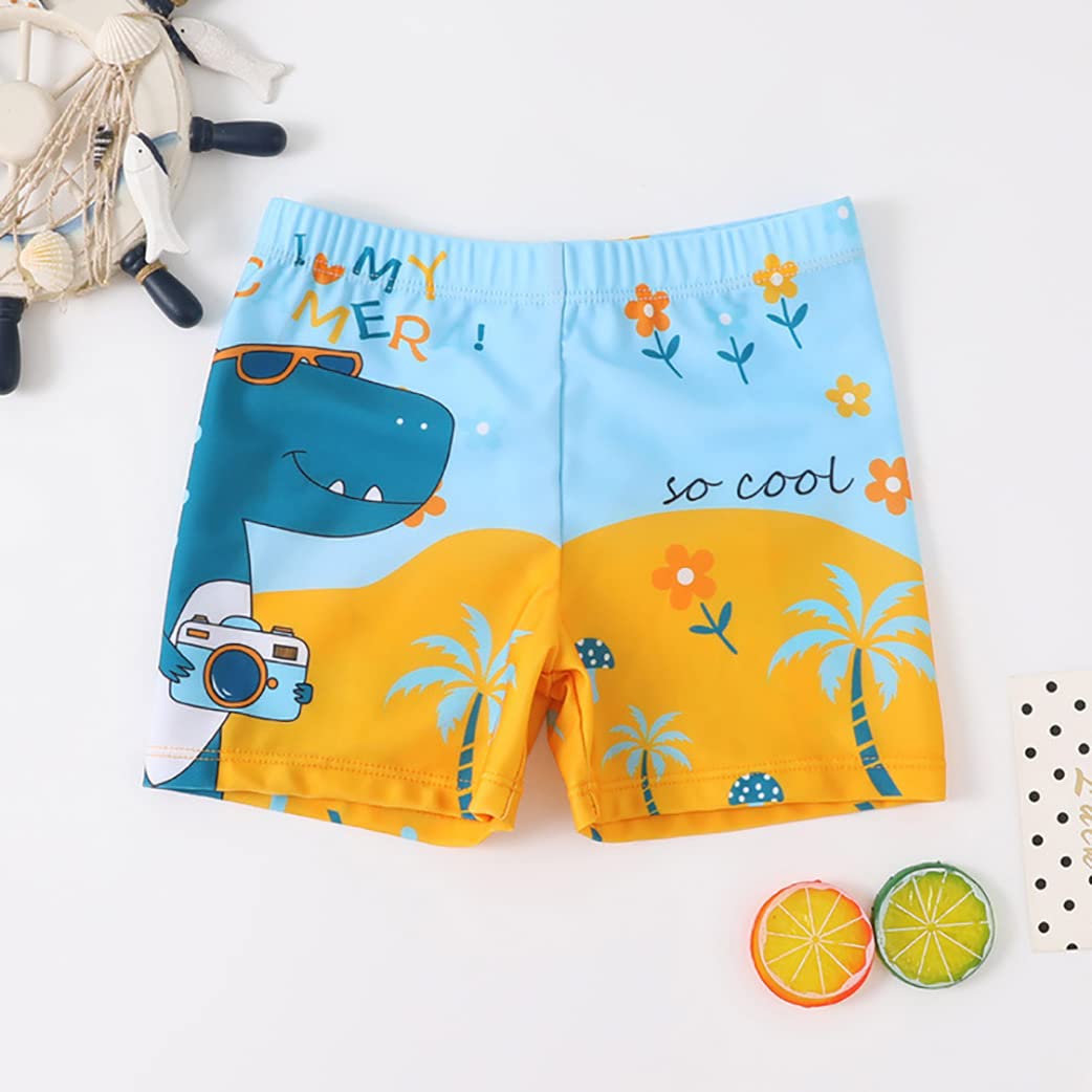 NautySaurs Pack of 2 Boys Swimming Shorts 5-13 Years Large Boys Swimwear Dinosaur Kids Swimming Trunks