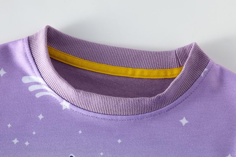 SOIBEEN Girls' Sweatshirt Adorable Children's Pullover 2-Pack Unicorn Top Shirt Pullover Pullover Crew Neck Long Sleeve Casual Wear Spring Autumn Cotton Hoodie 1-10 Years