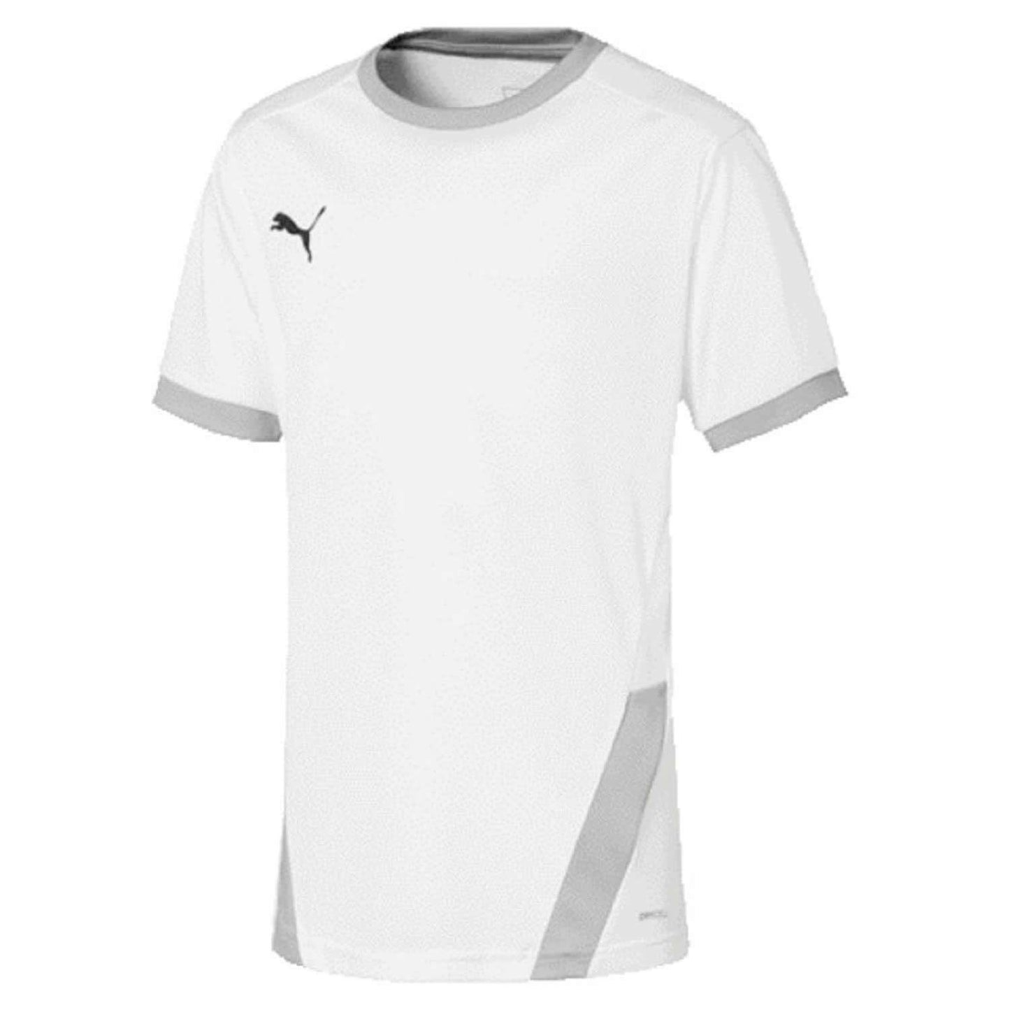 PUMA Herren, teamGOAL 23 Jersey Trikot