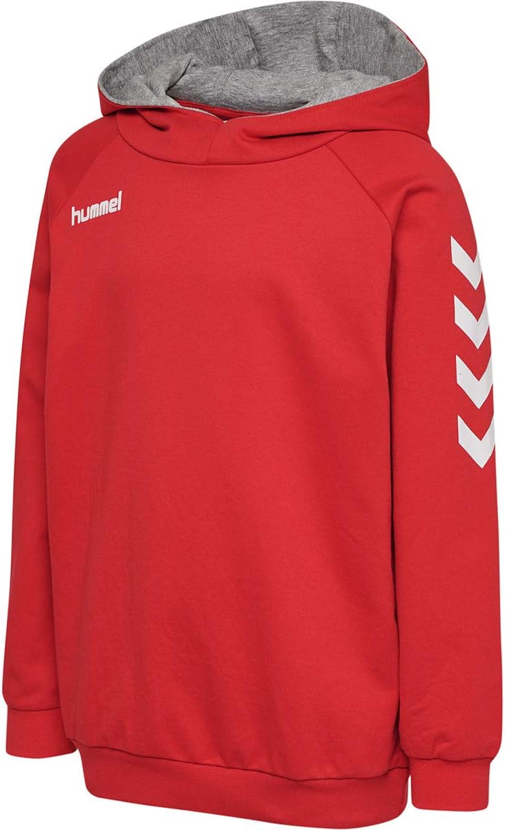 hummel Fußball - Textilien - Sweatshirts Cotton Hoody Kids