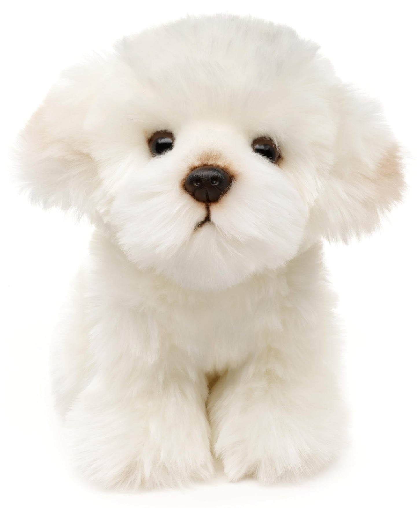 Uni-Toys - Maltese - 18 cm (height) - plush dog, pet - plush toy, cuddly toy