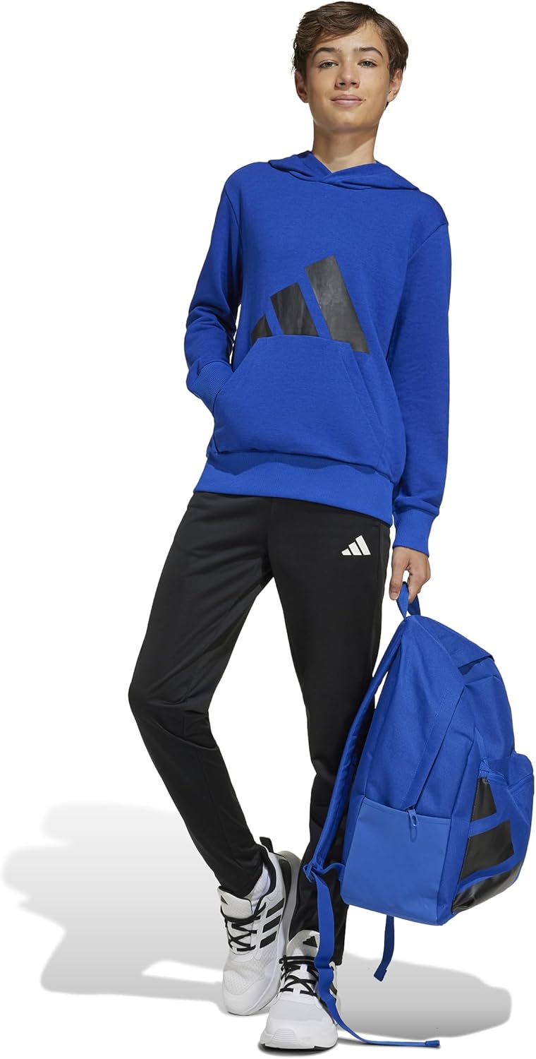 adidas Unisex Kinder Essentials Big Logo Hoodie Hooded Sweatshirt (1er Pack)