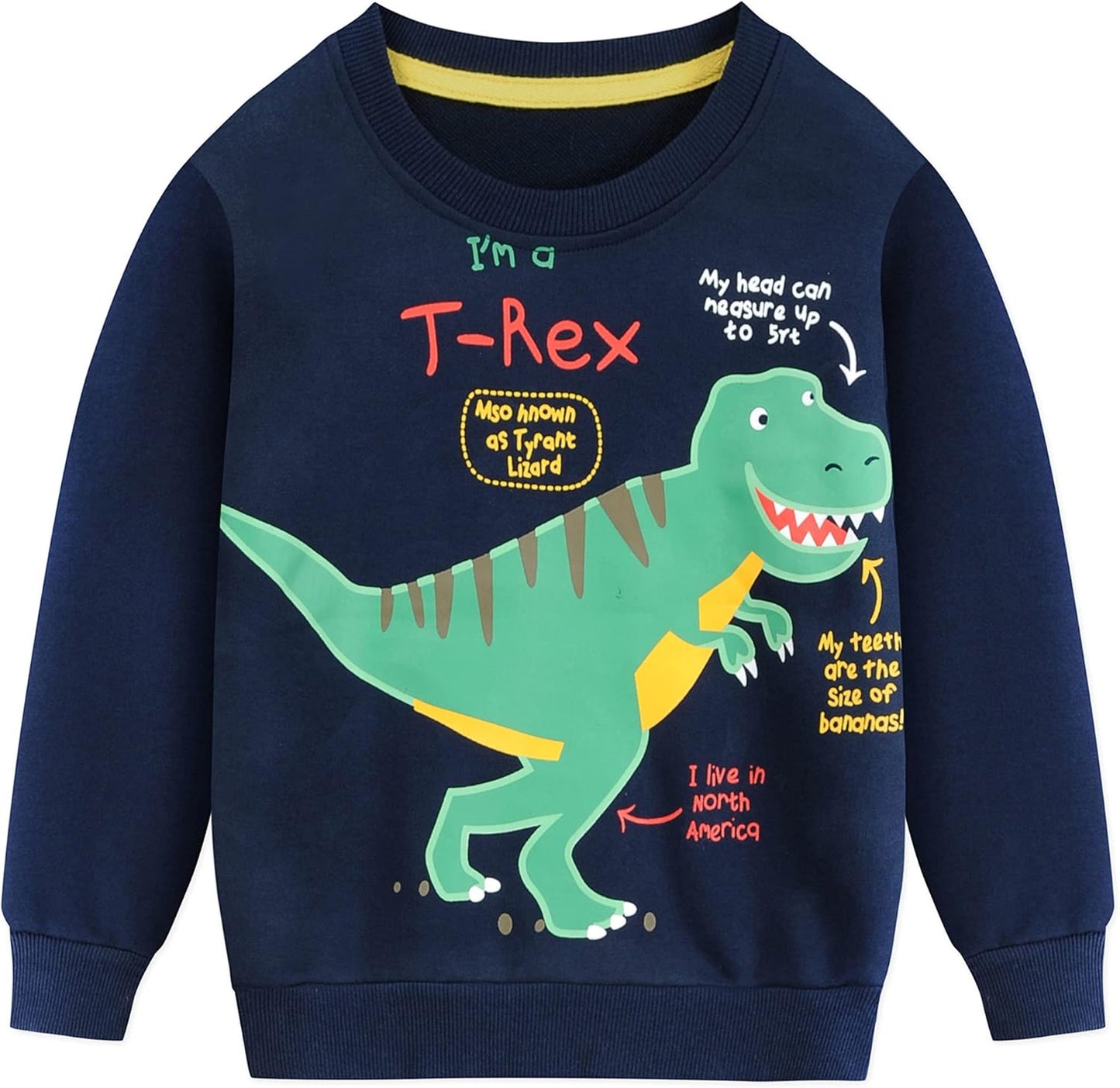CM-Kid Sweatshirts Jungen Langarm Pullover Kinder Baumwolle Frühling Herbst Winter Warm Tops 1-7 Jahre Gr.92-122