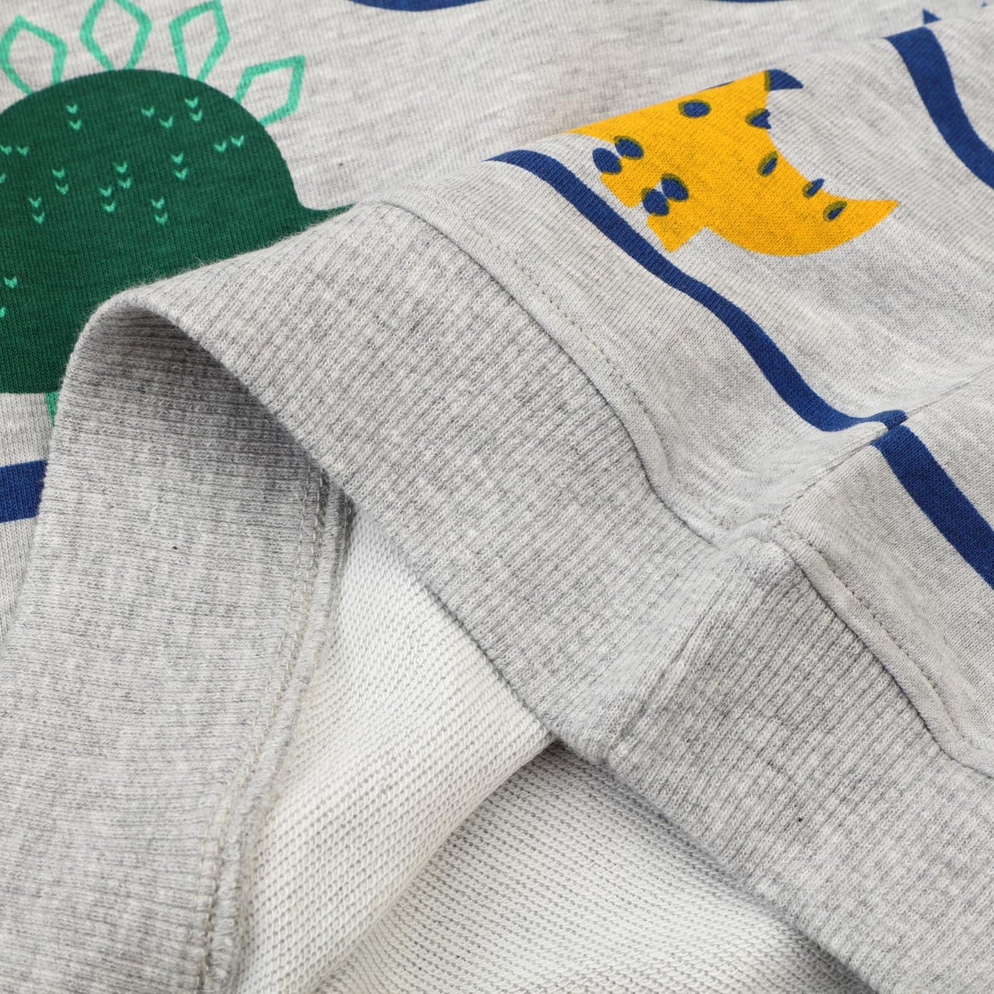 Dinopjs Children's Boys Pullover Sweatshirt Cute Long Sleeve Cotton Dinosaur Cartoon Jurassic Planets Digger Crane Dump Truck Tractor Winter & Spring Christmas Warm Tops 2-7 Years