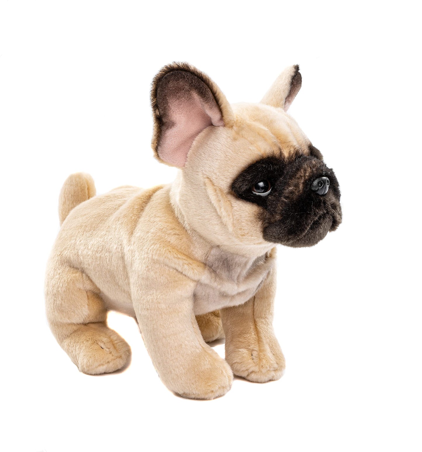 Uni-Toys - Französische Bulldogge (beige) - Ohne Leine - 26 cm (Länge) - Plüsch-Hund - Plüschtier, Kuscheltier