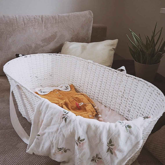 Moseskorb Papiergeflecht Paper Dream inkl. Matratze - Nachhaltig & sicher