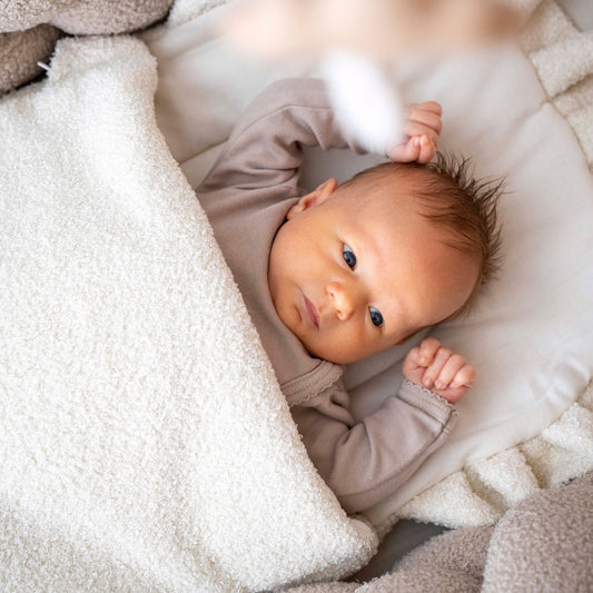 Babyschlafsack Dreamy Teddy Boucle - kuscheliger Ganzjahreschlafsack