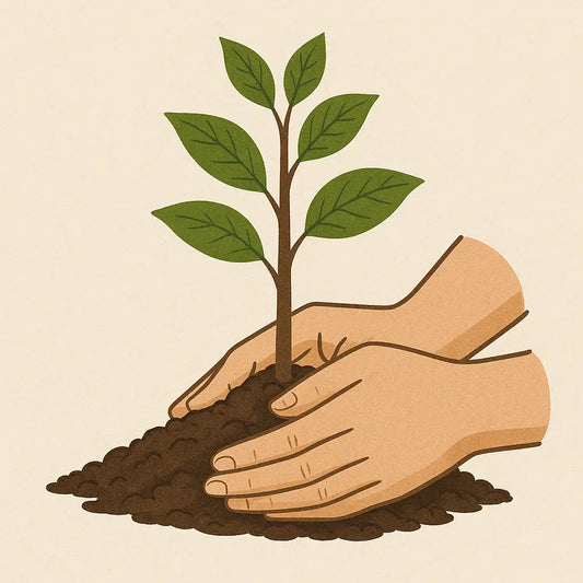 Eine junge grüne pflanze mit fünf blättern wird in der hand gehalten wir geben der natur was zurück