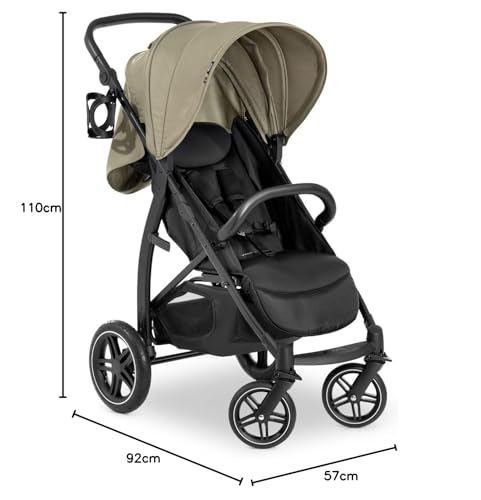 hauck Rapid 4D, Rosa - Kinderbuggy mit Liegefunktion ab Geburt bis 22 kg - UV Schutz 50+ - Klein Zusammenklappbar - Höhenverstellbarer Schieber mit Getränkehalter - Pannensichere Gummi Räder - Meloni2