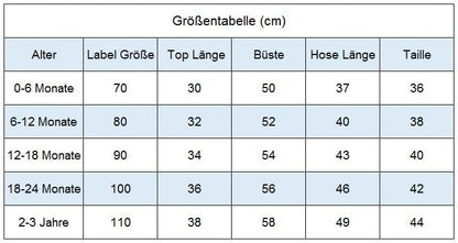 Baby Boys' Two-Piece Outfit, Long Sleeve Sweatshirt + Trousers, 2-Piece Set, Baby Clothing, 0-3 Years, Children's Outfit for Baby Boys 
