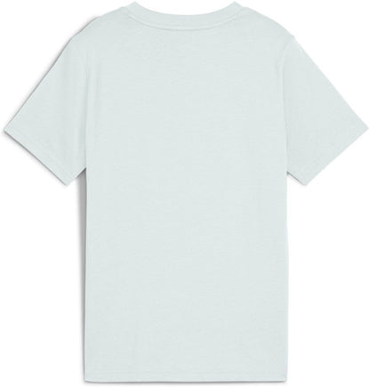PUMA Jungen ESS 2 Color No.1 Logo Tee B T-Shirts (1er Pack)