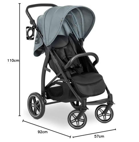 hauck Rapid 4D, Rosa - Kinderbuggy mit Liegefunktion ab Geburt bis 22 kg - UV Schutz 50+ - Klein Zusammenklappbar - Höhenverstellbarer Schieber mit Getränkehalter - Pannensichere Gummi Räder - Meloni2