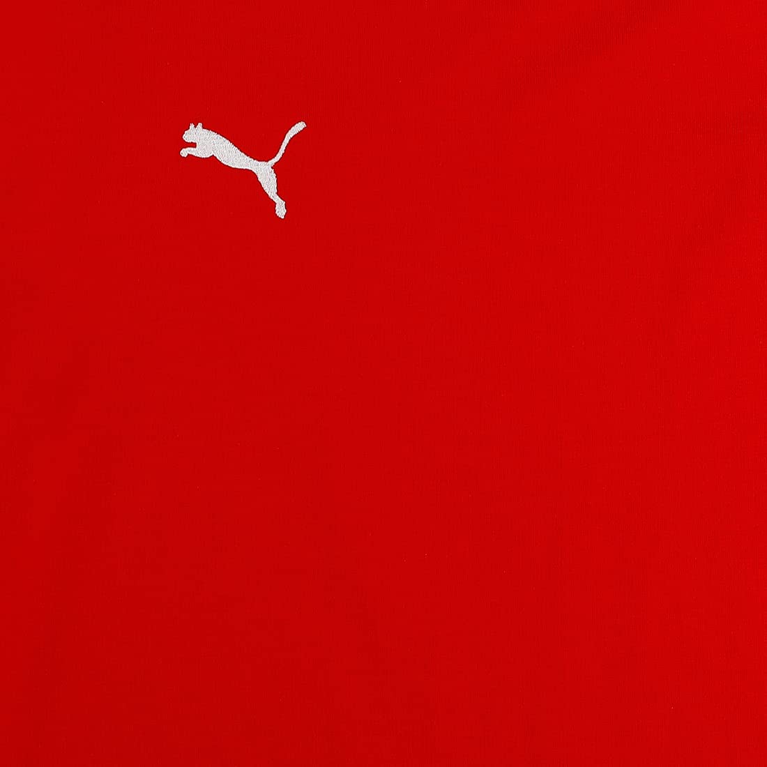 PUMA Jungen, teamGOAL 23 Casuals Tee Jr T-shirt