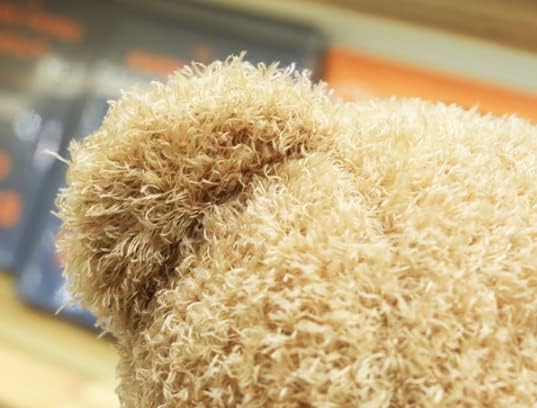TROYSINC Teddy Bear Soft Fur Teddy Bear with Hood Paw Print Plush Toy Cuddly Toy Stuffed Toy Gift (Red, 30 cm)
