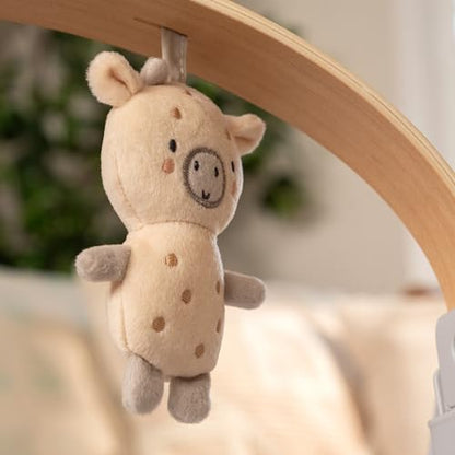 Ingenuity Hugs & Hoots zusammenklappbare & tragbare Babyschaukel, 5 Schaukelgeschwindigkeiten, 8 Melodien, 3 Naturgeräusche, Lautstärkeregulierung und Spielzeugbügel, ab der Geburt bis 9kg