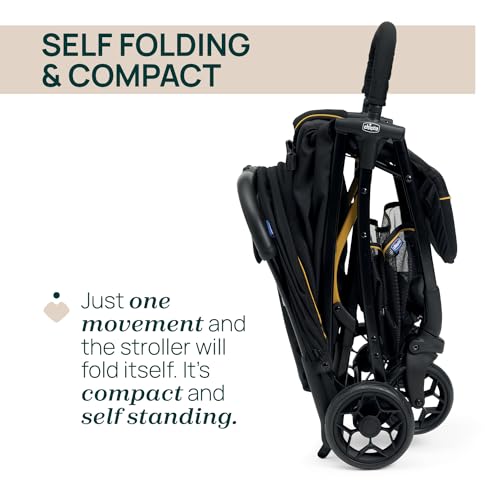 Chicco, Glee Pushchair from 0 Months to 4 Years with Automatic and Compact Closure, Extendable Hood with SPF 50+ and Rain Cover, 3-Level Adjustable Backrest, Leg Rest