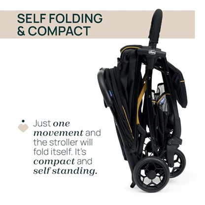 Chicco, Glee Pushchair from 0 Months to 4 Years with Automatic and Compact Closure, Extendable Hood with SPF 50+ and Rain Cover, 3-Level Adjustable Backrest, Leg Rest