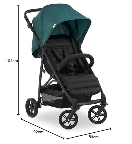 hauck Rapid 4, Grey - Pushchair from Birth up to 22 kg, Plastic Wheels, Compact & One Hand Folding, Height-Adjustable, Fully Reclining