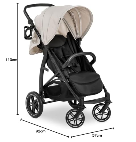 hauck Rapid 4D, Rosa - Kinderbuggy mit Liegefunktion ab Geburt bis 22 kg - UV Schutz 50+ - Klein Zusammenklappbar - Höhenverstellbarer Schieber mit Getränkehalter - Pannensichere Gummi Räder - Meloni2