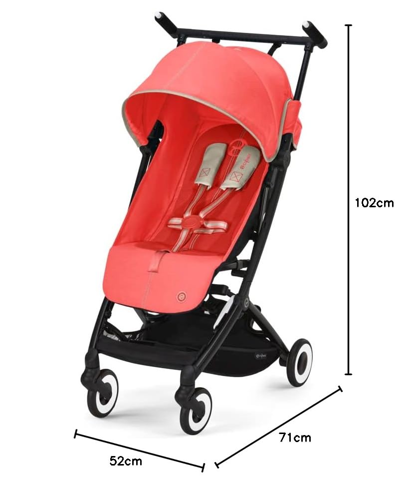 CYBEX Gold Pushchair Dragonfly with One-Pull Harness, From Approx. 6 Months to 4 Years (max. 22 kg), Ultralight (Only 6 kg), Fog Gray (Grey with Silver Frame) 