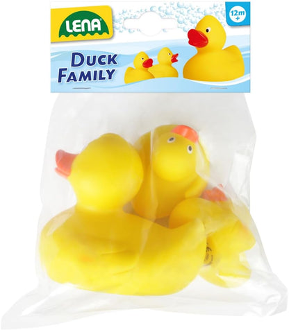 Sonstigee Entenfamilie