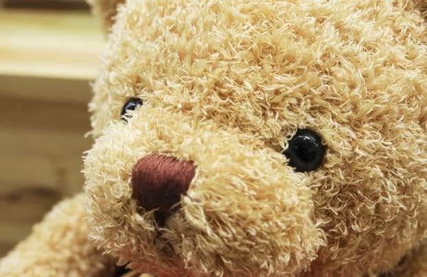 TROYSINC Teddy Bear Soft Fur Teddy Bear with Hood Paw Print Plush Toy Cuddly Toy Stuffed Toy Gift (Red, 30 cm)