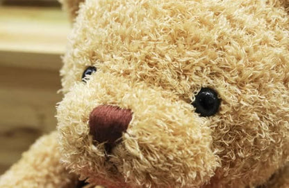 TROYSINC Teddy Bear Soft Fur Teddy Bear with Hood Paw Print Plush Toy Cuddly Toy Stuffed Toy Gift (Red, 30 cm)