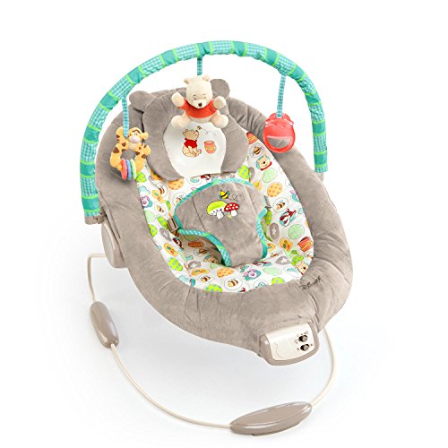 Bright Starts, Disney Baby, Winnie the Pooh Babywippe Babyschaukel mit Vibrationen, Automatischer Ausschaltfunktion, Melodien, Lautstärkeregler, Abnehmbarer Kopfstütze und Spielbogen