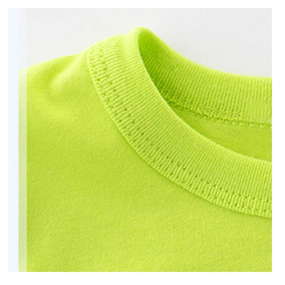 Baby Kleinkind Jungen 4 Stück T-Shirts und Shorts Dinosaurier Tops & Shorts Sommer Outfits