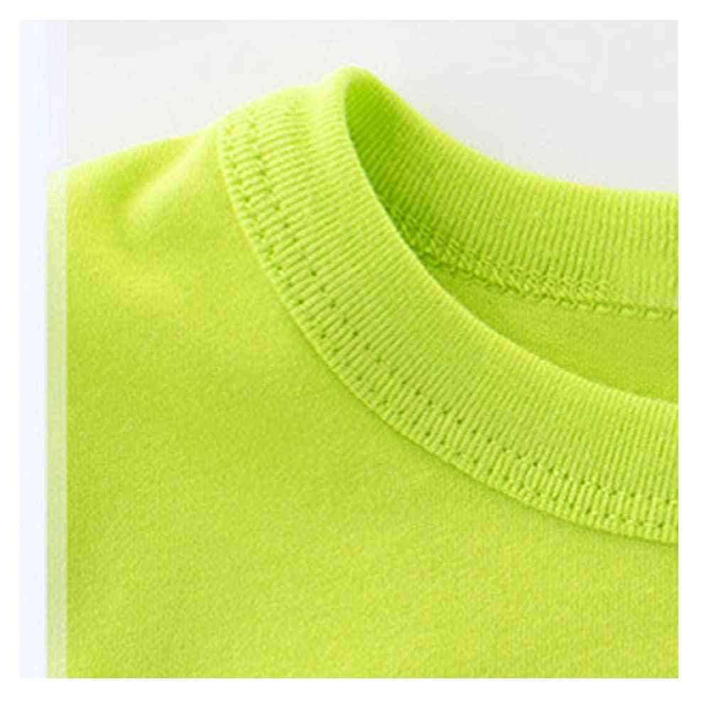 Baby Kleinkind Jungen 4 Stück T-Shirts und Shorts Dinosaurier Tops & Shorts Sommer Outfits