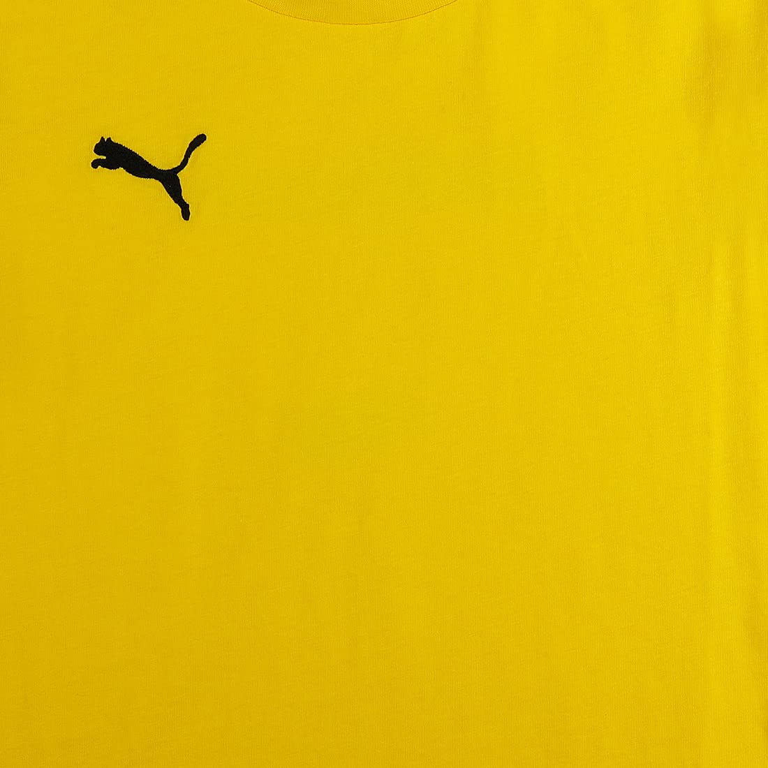 PUMA Jungen, teamGOAL 23 Casuals Tee Jr T-shirt