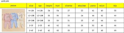 Beauace 2pcs Baby Girl Clothes 3D Floral Print Outfit Long Sleeve Shirt + Trousers Newborn Baby Clothing Clinder Autumn Baby Set