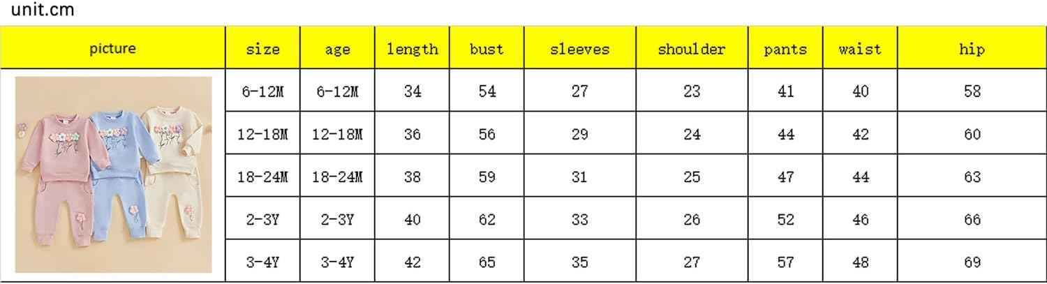 Beauace 2pcs Baby Girl Clothes 3D Floral Print Outfit Long Sleeve Shirt + Trousers Newborn Baby Clothing Clinder Autumn Baby Set