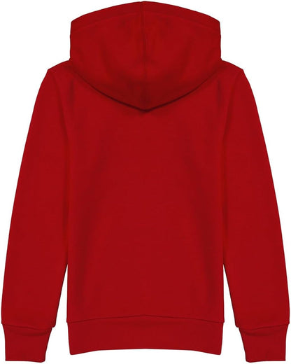 Levi's Kids batwing screenprint hoodie Jungen 10-16 Jahre
