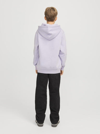 JACK & JONES Herren Jorvesterbro Sweat Hood Noos Jnr
