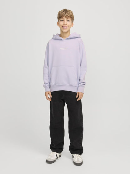 JACK & JONES Herren Jorvesterbro Sweat Hood Noos Jnr