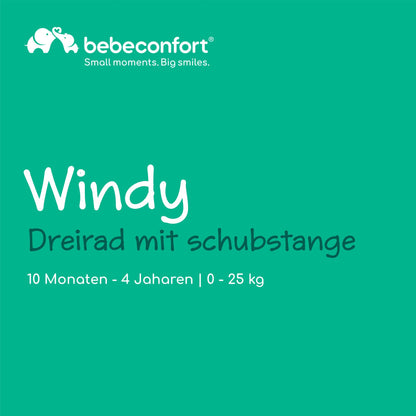 Bebeconfort Zephir, kompakter Baby Kinderwagen, 0–4 Jahre (bis zu 22 kg), leichter Reise Buggy (4,5 kg), in Kabinengröße, flacher und verstellbarer Sitz, Aufbewahrungskorb, Mineral Green